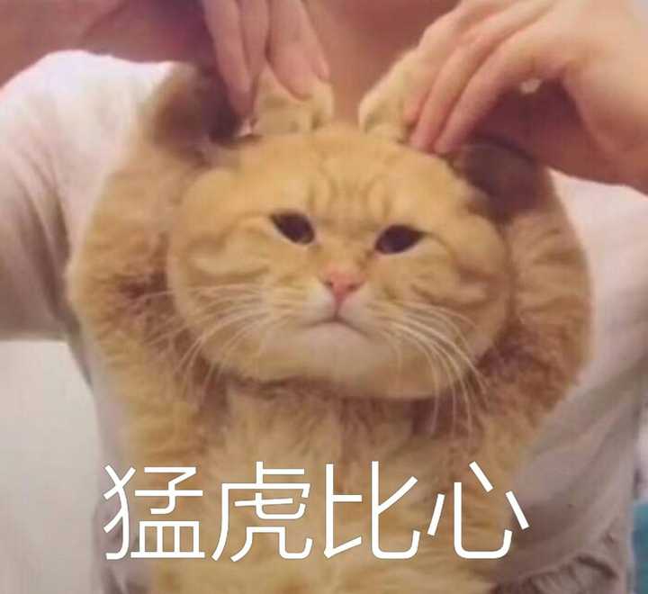 猛男就该用这个