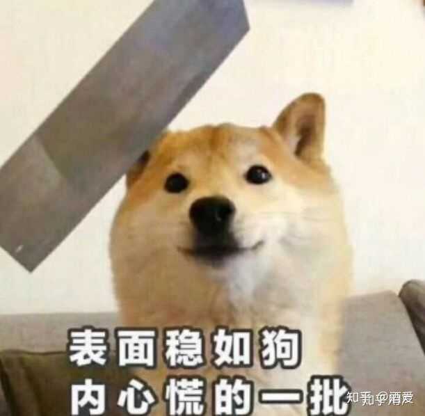 有哪些能一秒让心情变好的表情包?
