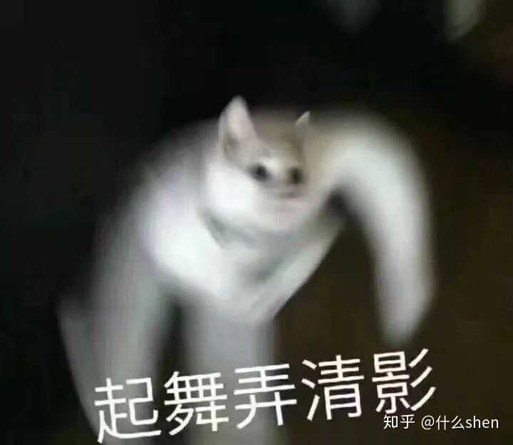 撩我家狗子的不知不觉间存了好多图,(小套路中参杂些许去幼儿园的车