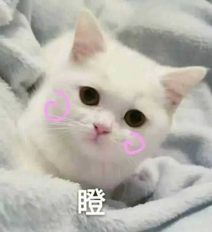 有什么适用于和老婆/女票撒娇的可爱表情包?