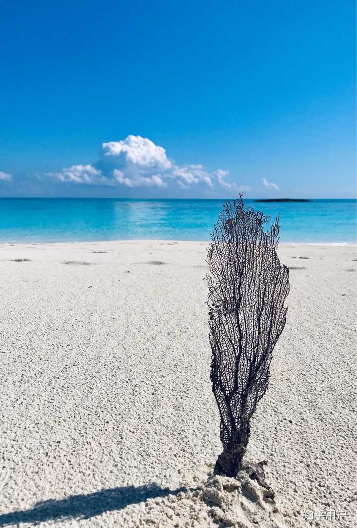 大家的手机里有什么疫情前拍的好看或者有趣的风景图?