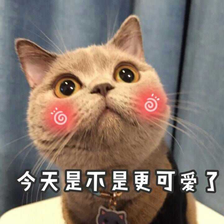 我头也不抬随口说: "你要乖乖的哦~早点回来." 室友说,她脸都红了.