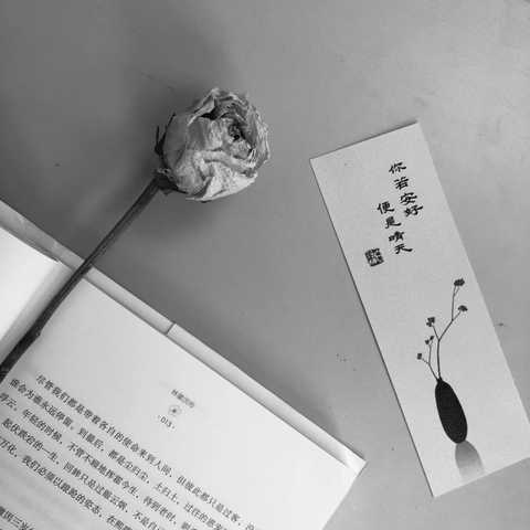 ═—═—═—═—═—═—═—═ 螃蟹在剥我的壳,笔记本在写我