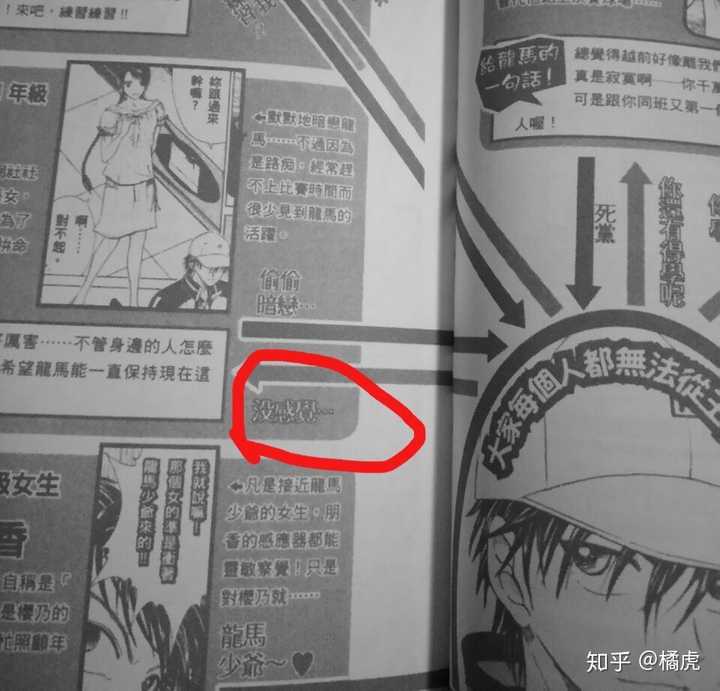为什么很多网球王子的女性粉丝讨厌龙崎樱乃?