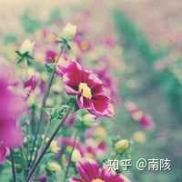 有什么适合四十多岁爸爸妈妈的微信头像?