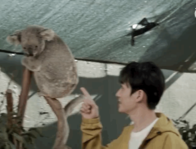 再加一条令我嫉妒到质壁分离的回复 今天晚上梗好多哦 先放美图﹌o﹌