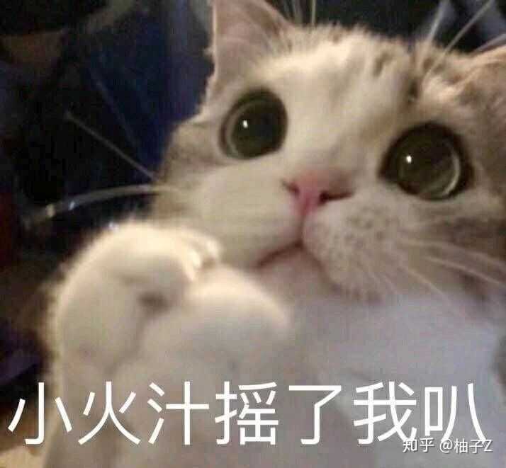 有哪些微信迷你可爱适合女孩子的表情包?