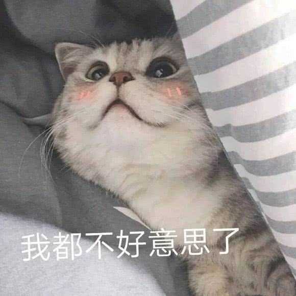 男生发猫猫狗狗的可爱表情包会是渣男吗?为什么?