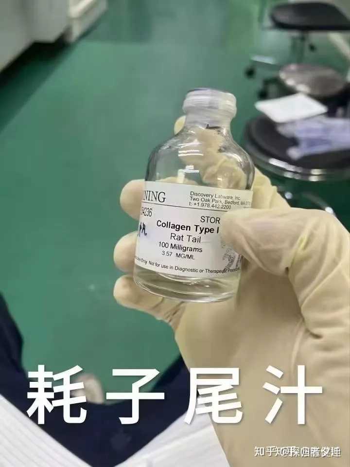 耗子的尾巴真的能榨汁吗榨的汁是什么性态能喝吗