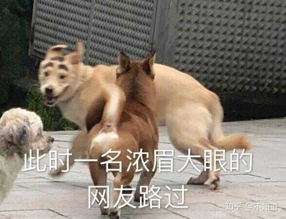 有没有什么特沙雕的手机壁纸?