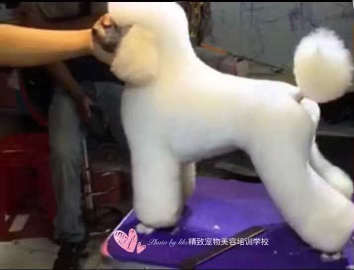 拉姆装,也就是俗称的运动装,绵羊装