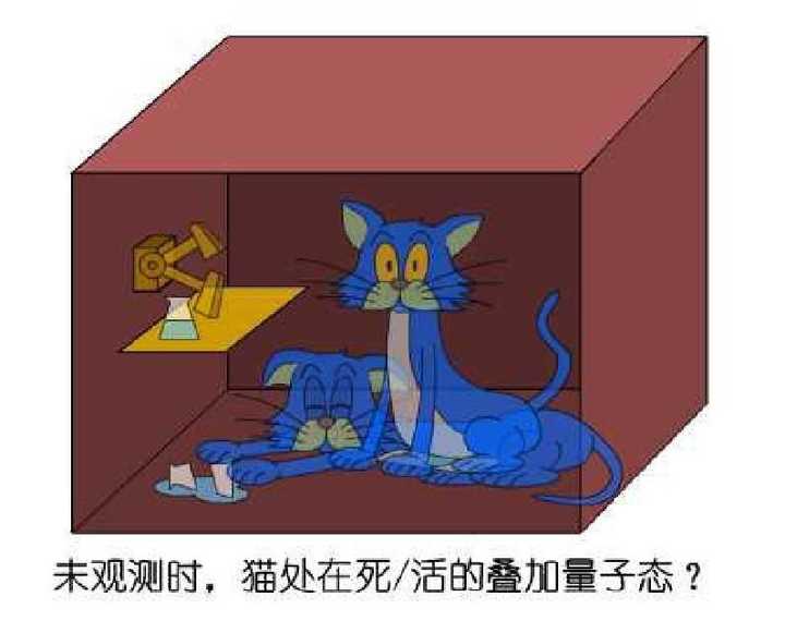 「薛定谔的猫」是指什么?