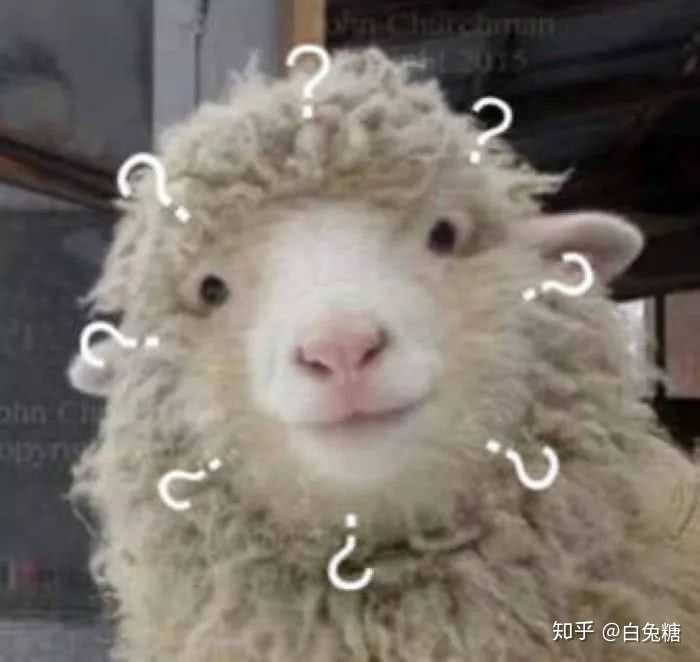 有哪些沙雕搞笑的头像?
