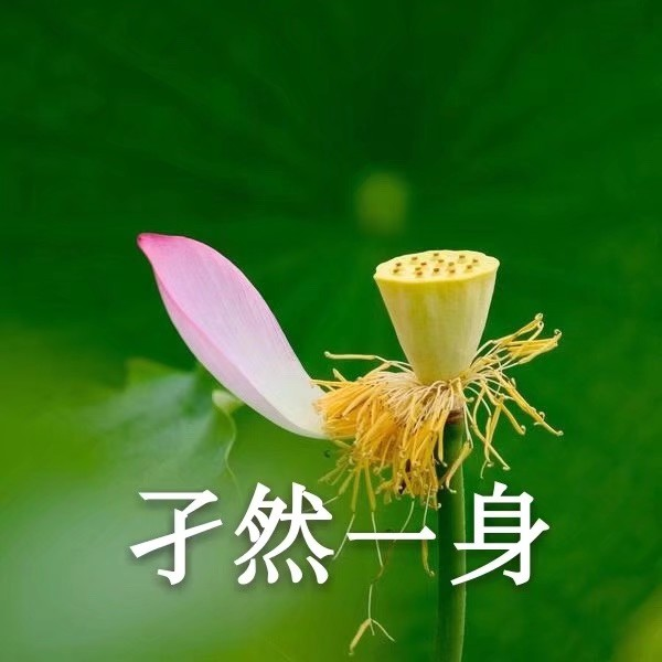 有兄弟有沙雕头像嘛?