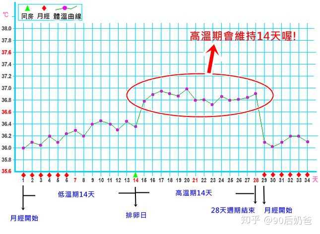 如果你月经不规律,也可以尝试基础体温检测法.