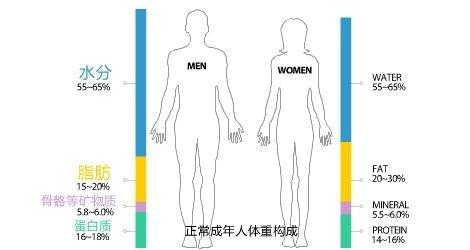 70. 人体体重是身体总水分,蛋白质,无机盐和体