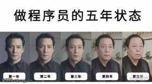 长期当程序员会失去什么?