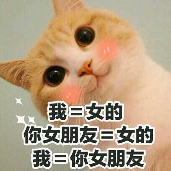 有哪些适合在撒娇时使用的表情包?