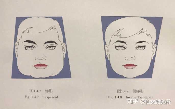 怎样判断一个人的脸型?