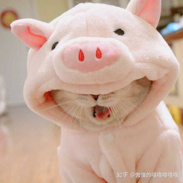 微信头像背景很久不换,朋友圈很少发动态的女生,是不是很难相处?