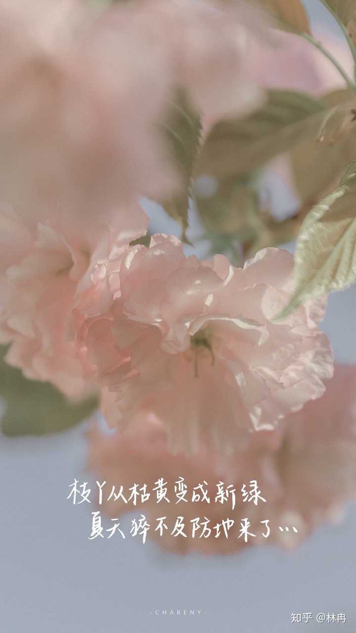 有哪些给人积极心理暗示的手机壁纸?