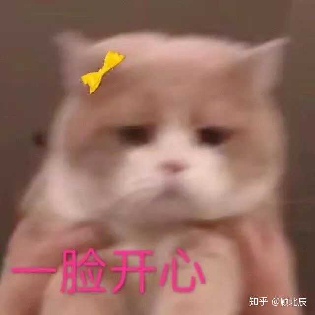 一脸开心的我〔仰天长笑〕