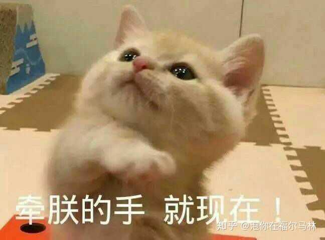 有没什么特别可爱的表情包分享呀?