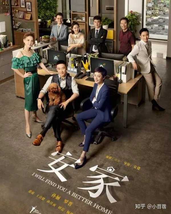 请问一下,《安家》电视剧的大结局是怎样的呢?