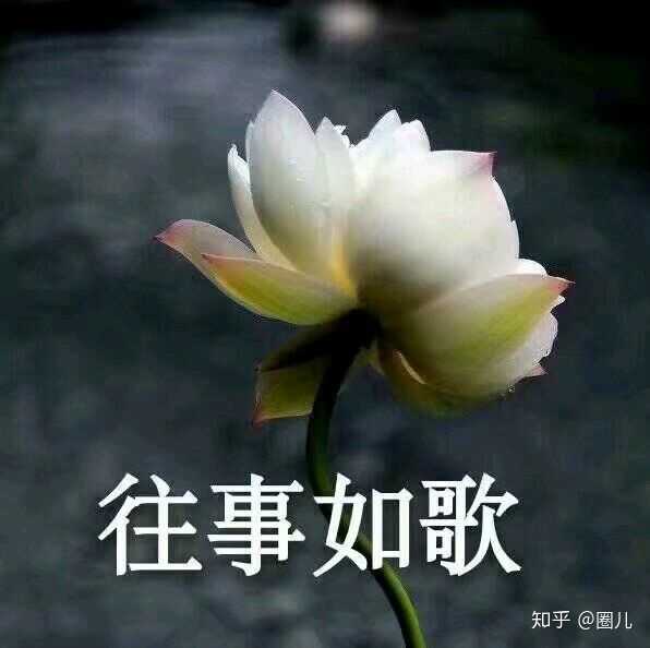 佛系头像反映了我淡漠的心
