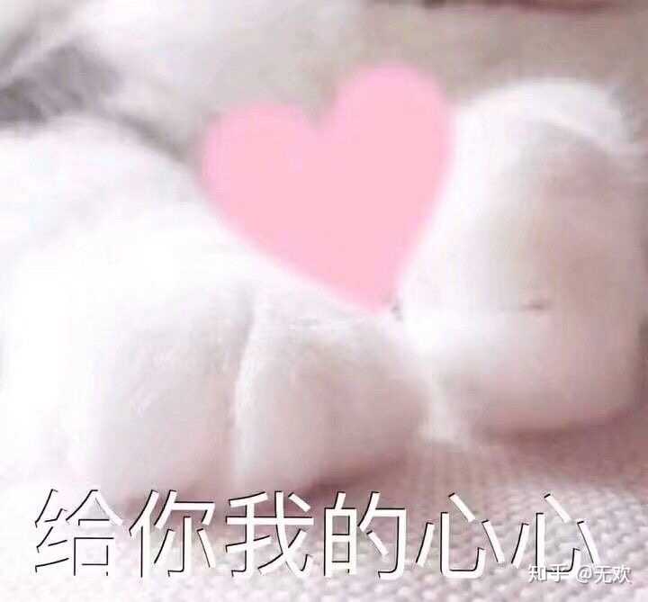 有哪些适合发给女朋友的表情包?(本人女)?