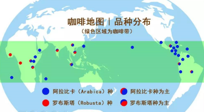 咖啡豆品种中,阿拉比卡和罗布斯塔有什么区别呢?