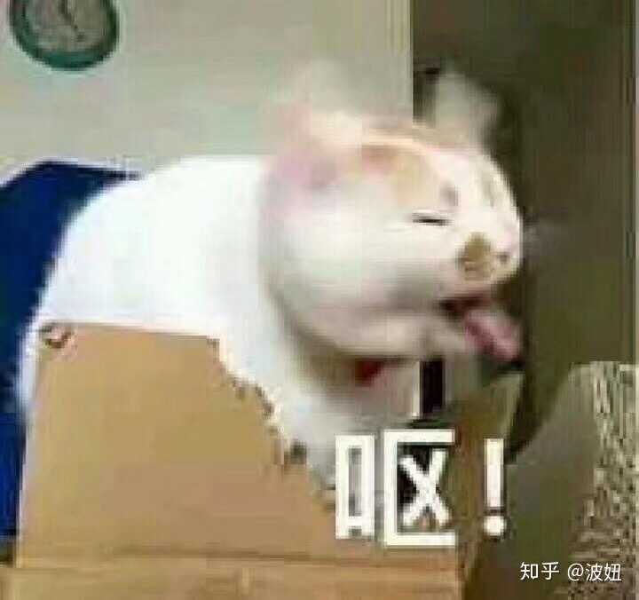 大家有没有一些日常聊天沙雕表情包?