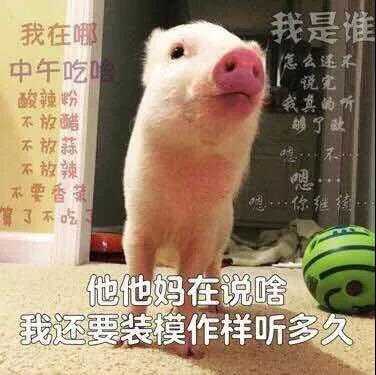 上面赫然写着我今生永远不会忘记的五个字:  中午吃什么?