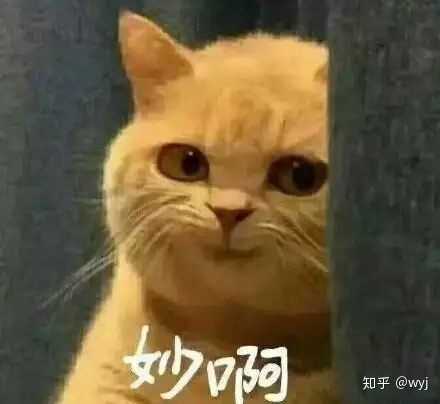有什么好玩的表情包?