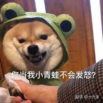 有没有恶毒凶狠的表情包?