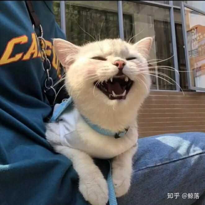 有没有好看的男生头像啊?