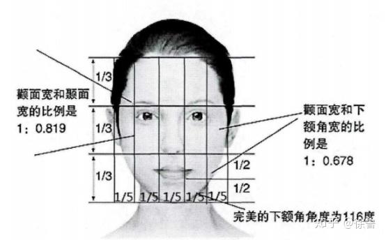 标准人脸结构分布图