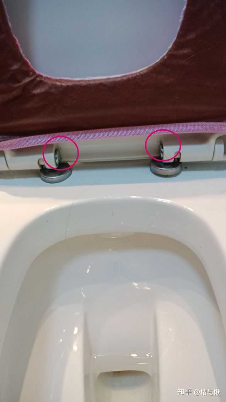 这款马桶盖怎么拆?