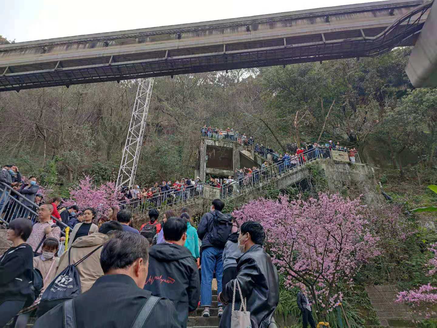 重庆游品 的想法: 重庆佛图关公园,开往春天的列车太火了!… - 知乎