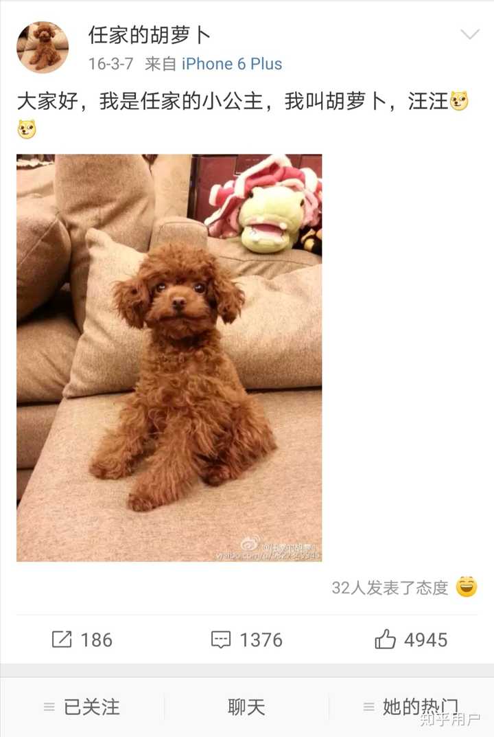 大神们给安利一下聂欢 (任嘉伦的女朋友)网上说她作妖
