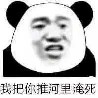 我宣布,今天我就是熊猫界素质教育漏网之鱼    每天更新超多沙雕表情