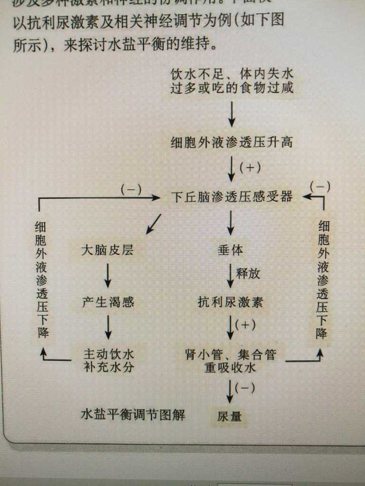 人为什么会感到口渴?