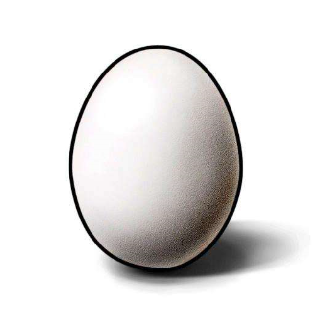 达芬奇画鸡蛋