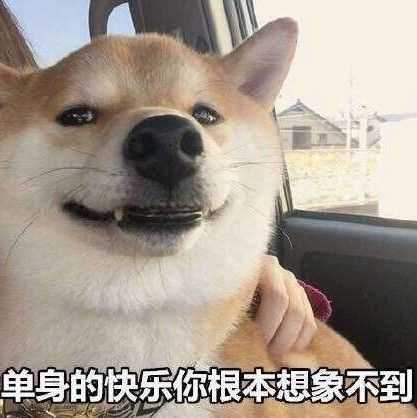 有没有什么很有格调的沙雕头像?