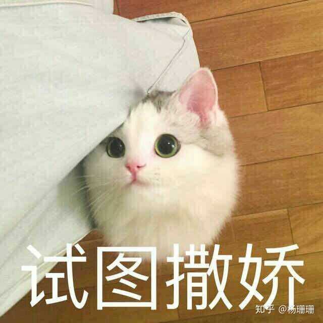 有哪些恋爱中和男友撒娇用的可爱表情包?