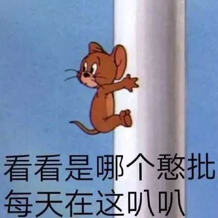 有哪些适合发说说的沙雕可爱文案?