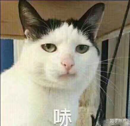 请问有一些很暴躁很冷漠用起来很快乐的表情包吗?