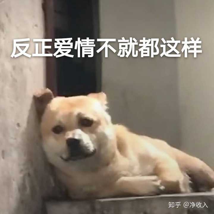 成了宿舍最后一只单身狗该咋整