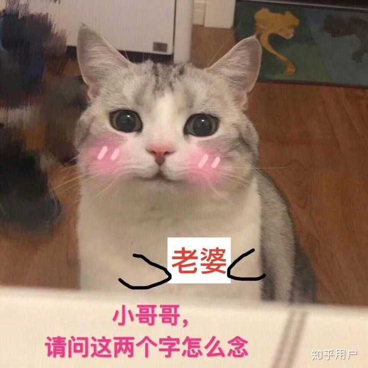 有哪些可以哄男朋友的表情包呢