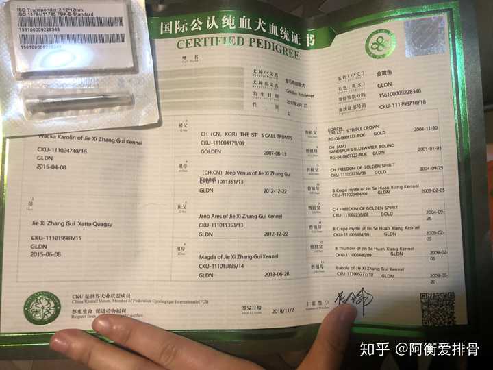 说到纯不纯,家里绵羊是有纯血统证书的,星星没有,单论纯不纯,有血统